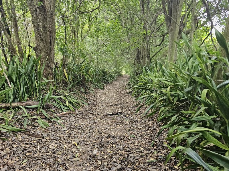 298 Calle Calandria Comm Lajas Arriba Lajas 00646 PR