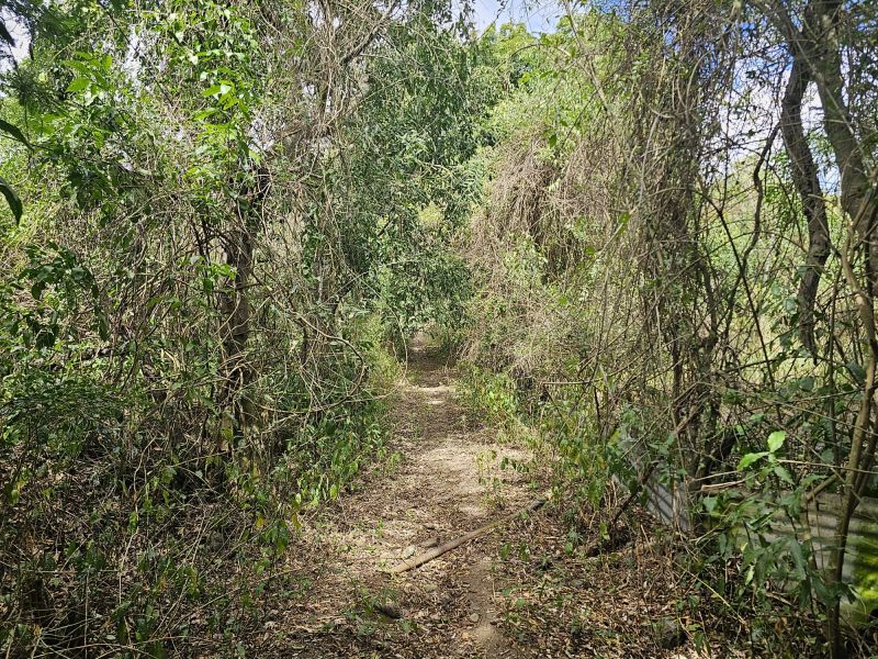 298 Calle Calandria Comm Lajas Arriba Lajas 00646 PR