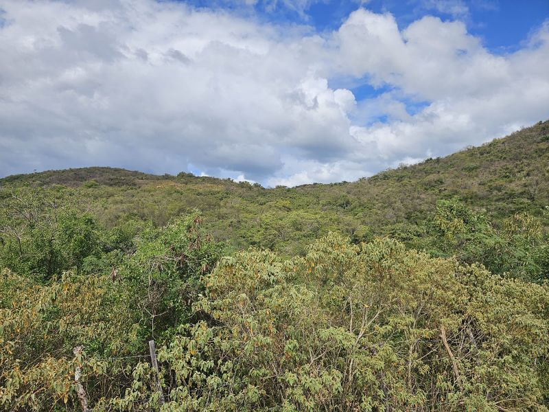 298 Calle Calandria Comm Lajas Arriba Lajas 00646 PR