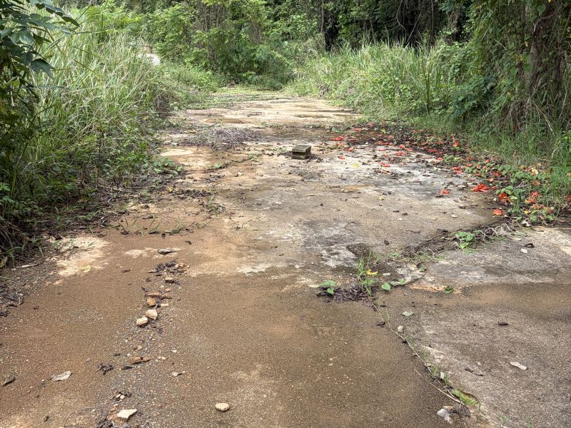 Bo Florida Afuera Sec Tosas Carr 665 Int Barceloneta 00617 PR