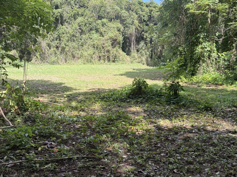 Bo Florida Afuera Sec Tosas Carr 665 Int Barceloneta 00617 PR