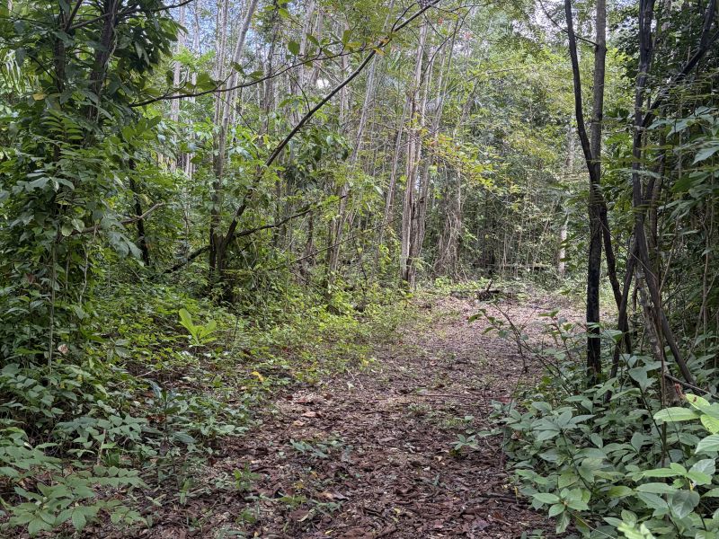 Bo Florida Afuera Sec Tosas Carr 665 Int Barceloneta 00617 PR