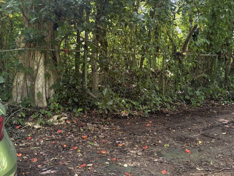 Bo Florida Afuera Sec Tosas Carr 665 Int Barceloneta 00617 PR