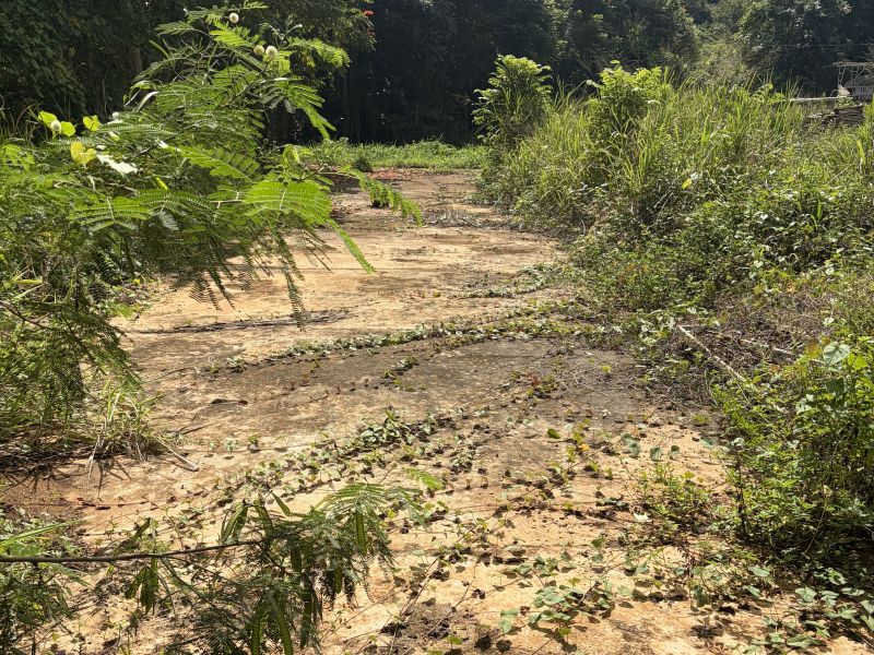 Bo Florida Afuera Sec Tosas Carr 665 Int Barceloneta 00617 PR