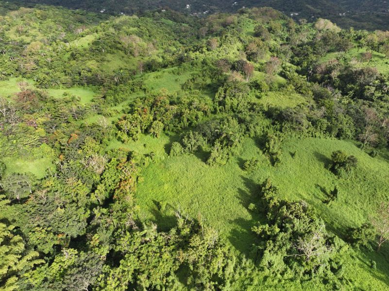 Finca Pr 765 Km 1.3 Jagual Ward San Lorenzo 00754 PR