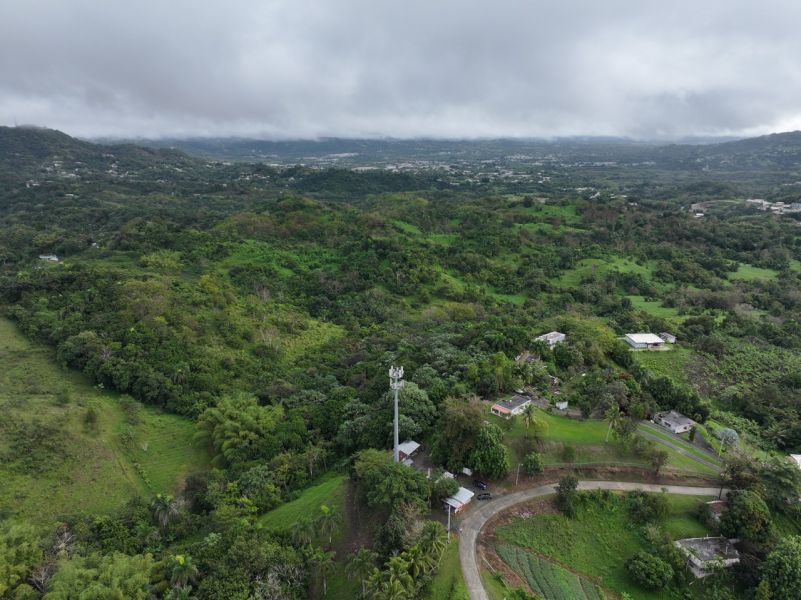 Finca Pr 765 Km 1.3 Jagual Ward San Lorenzo 00754 PR