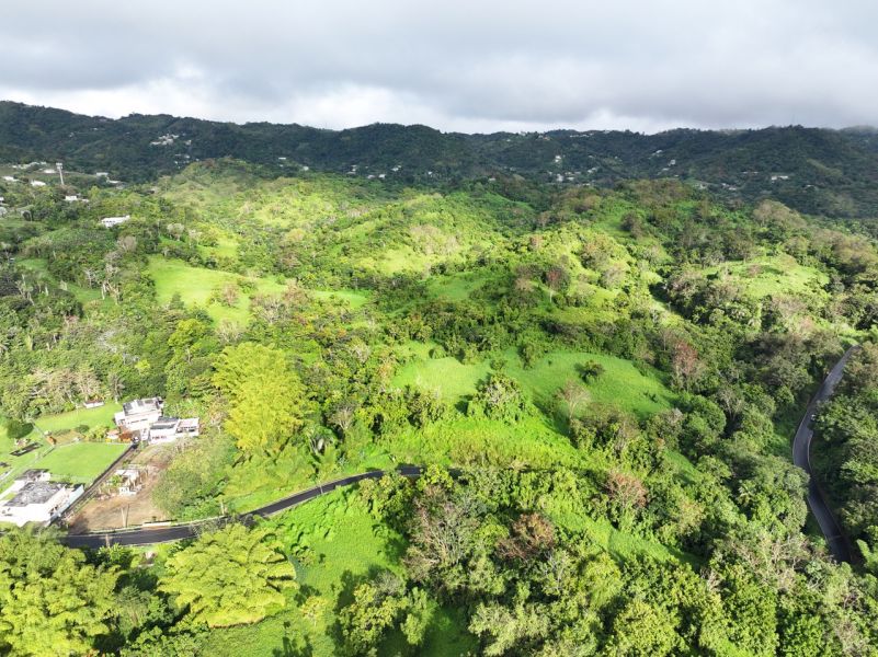 Finca Pr 765 Km 1.3 Jagual Ward San Lorenzo 00754 PR