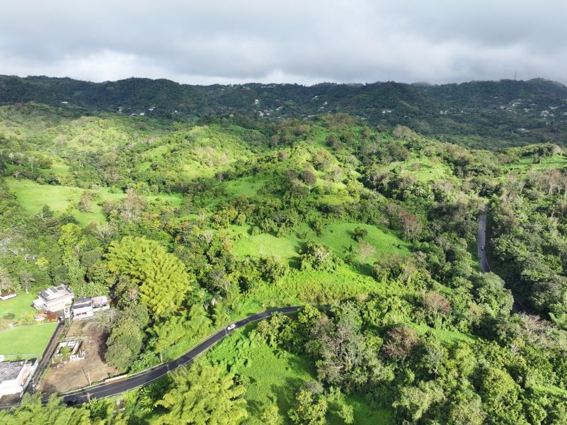 Finca Pr 765 Km 1.3 Jagual Ward San Lorenzo 00754 PR
