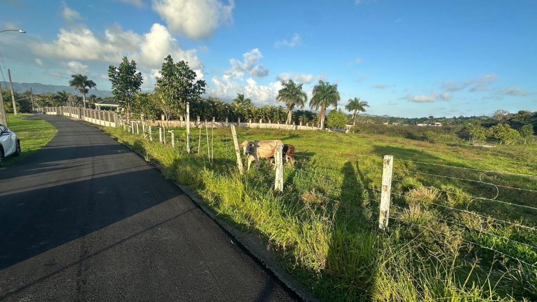 Sr 183 Km 19.6 Int. Lot 10 Montones Ward Las Piedras 00771 PR