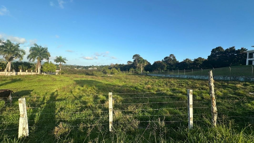 Sr 183 Km 19.6 Int. Lot 10 Montones Ward Las Piedras 00771 PR