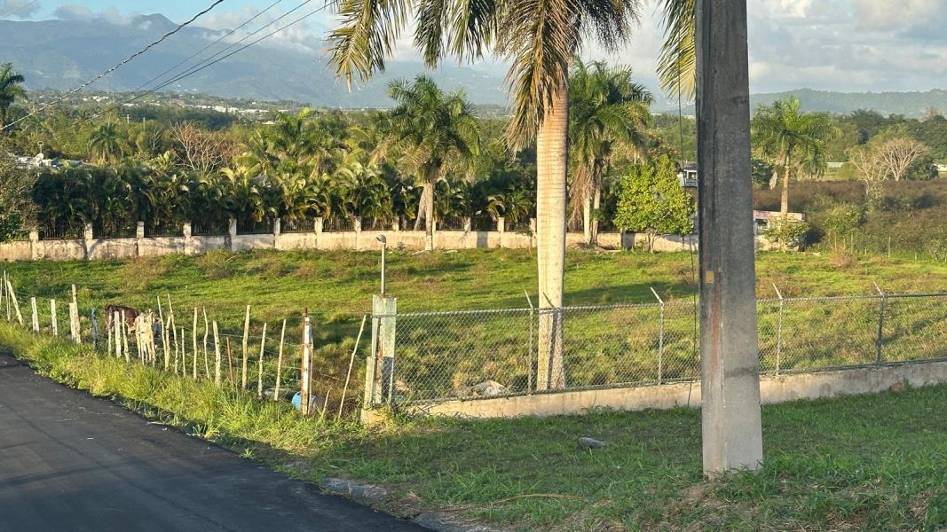 Sr 183 Km 19.6 Int. Lot 10 Montones Ward Las Piedras 00771 PR