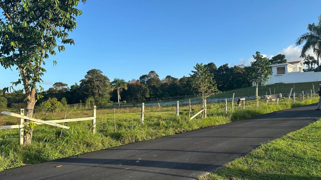 Sr 183 Km 19.6 Int. Lot 10 Montones Ward Las Piedras 00771 PR