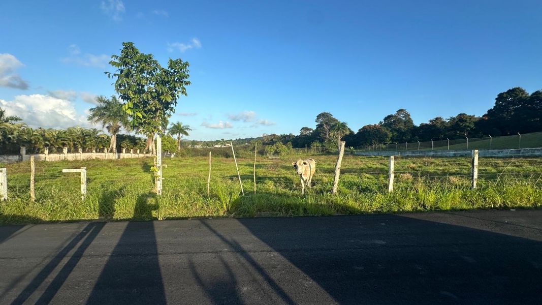 Sr 183 Km 19.6 Int. Lot 10 Montones Ward Las Piedras 00771 PR