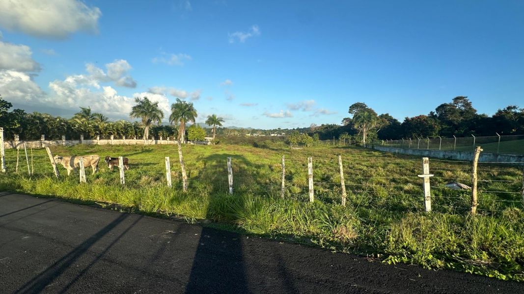 Sr 183 Km 19.6 Int. Lot 10 Montones Ward Las Piedras 00771 PR