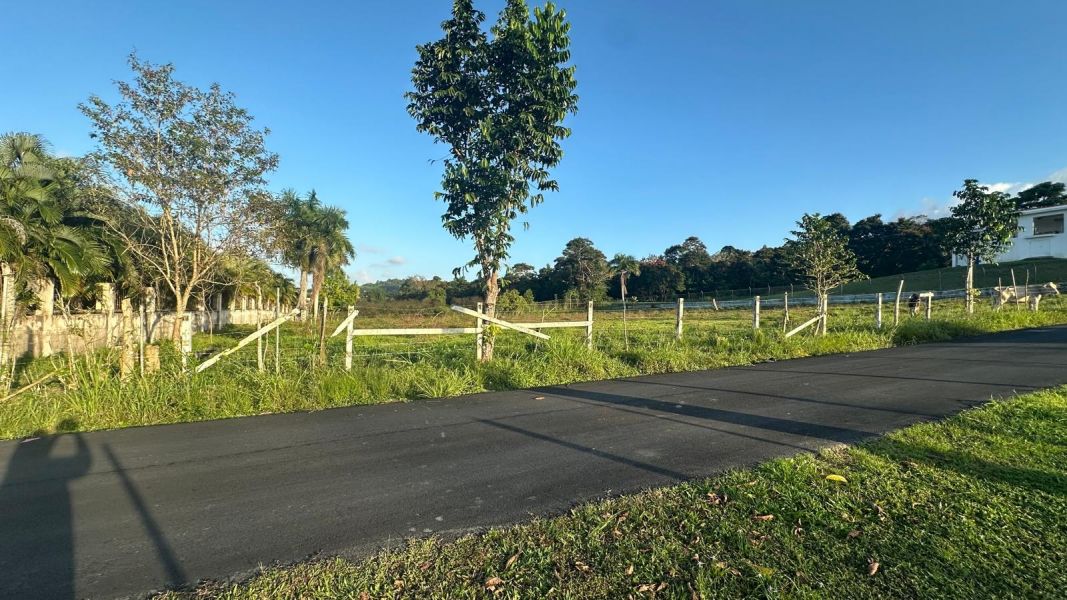 Sr 183 Km 19.6 Int. Lot 10 Montones Ward Las Piedras 00771 PR
