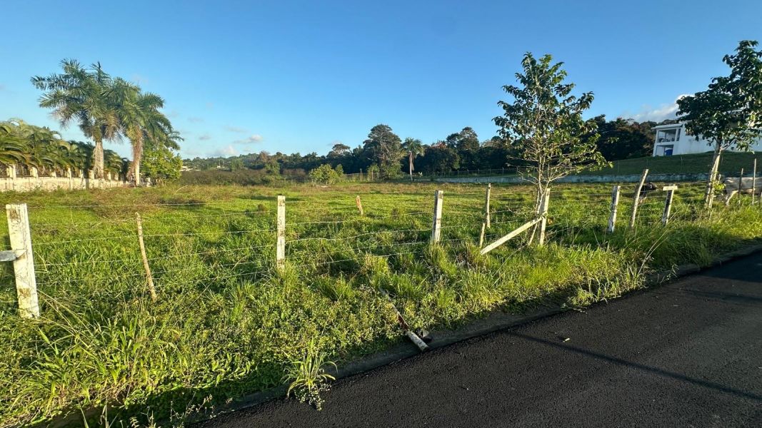 Sr 183 Km 19.6 Int. Lot 10 Montones Ward Las Piedras 00771 PR