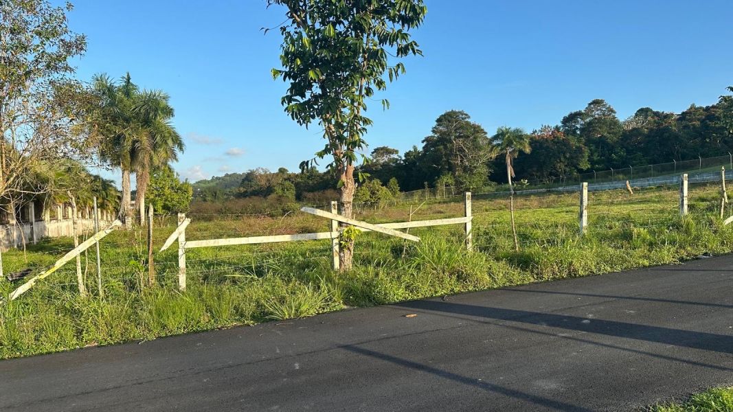 Sr 183 Km 19.6 Int. Lot 10 Montones Ward Las Piedras 00771 PR