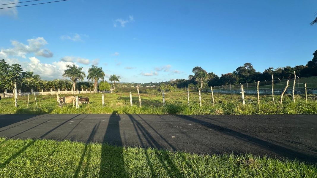 Sr 183 Km 19.6 Int. Lot 10 Montones Ward Las Piedras 00771 PR