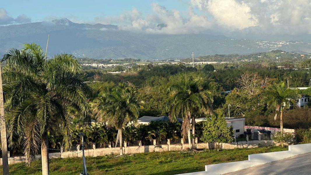 Sr 183 Km 19.6 Int. Lot 10 Montones Ward Las Piedras 00771 PR