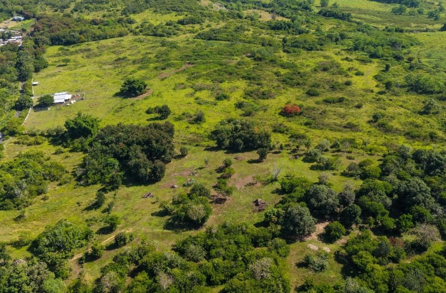 Bo Guanajibo Carr 102 Km.hm 9.0 Cabo Rojo 00623 PR