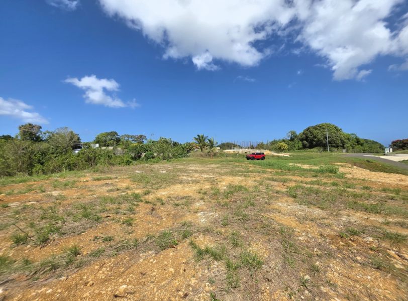 Carr 110 Km 19.8 Int Bo Centro Moca 00676 PR