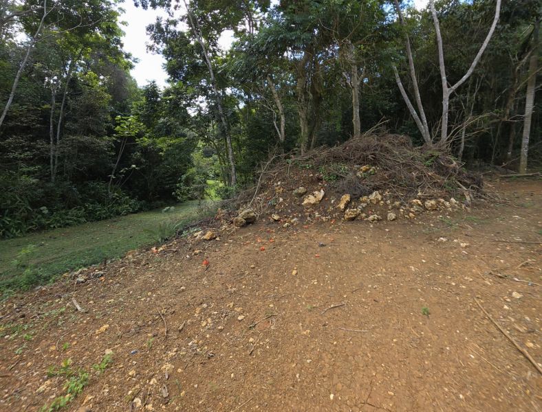 Carr 110 Km 19.8 Int Bo Centro Moca 00676 PR