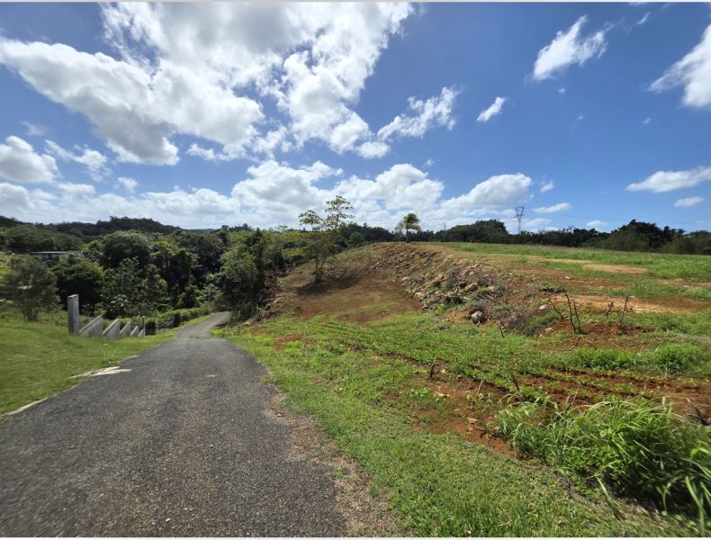 Carr 110 Km 19.8 Int Bo Centro Moca 00676 PR