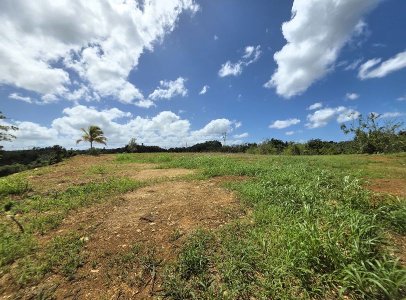 Carr 110 Km 19.8 Int Bo Centro Moca 00676 PR