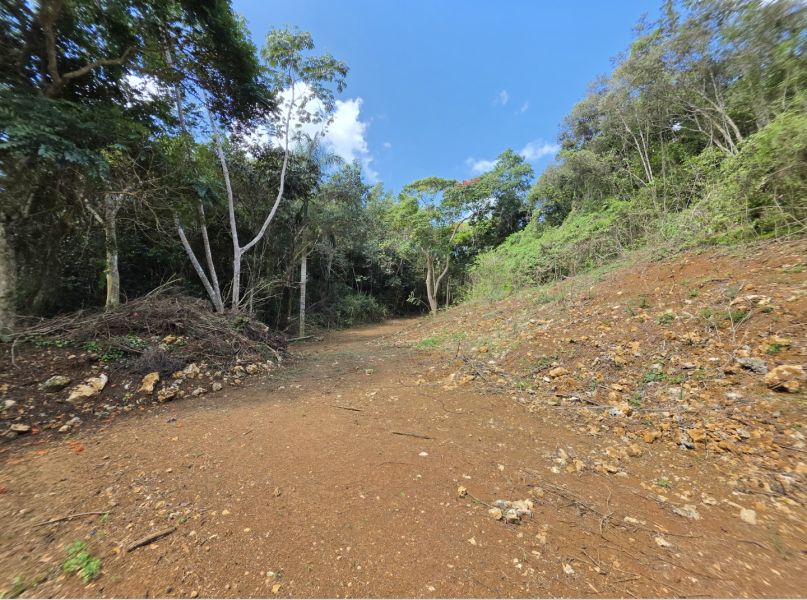 Carr 110 Km 19.8 Int Bo Centro Moca 00676 PR