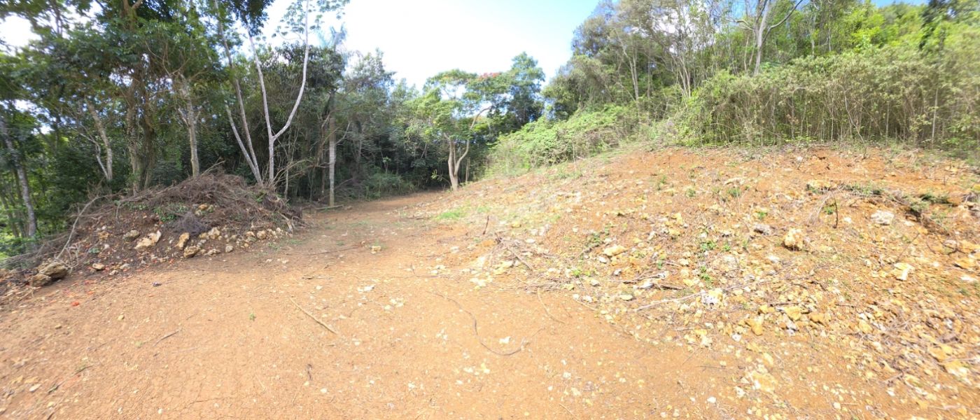 Carr 110 Km 19.8 Int Bo Centro Moca 00676 PR