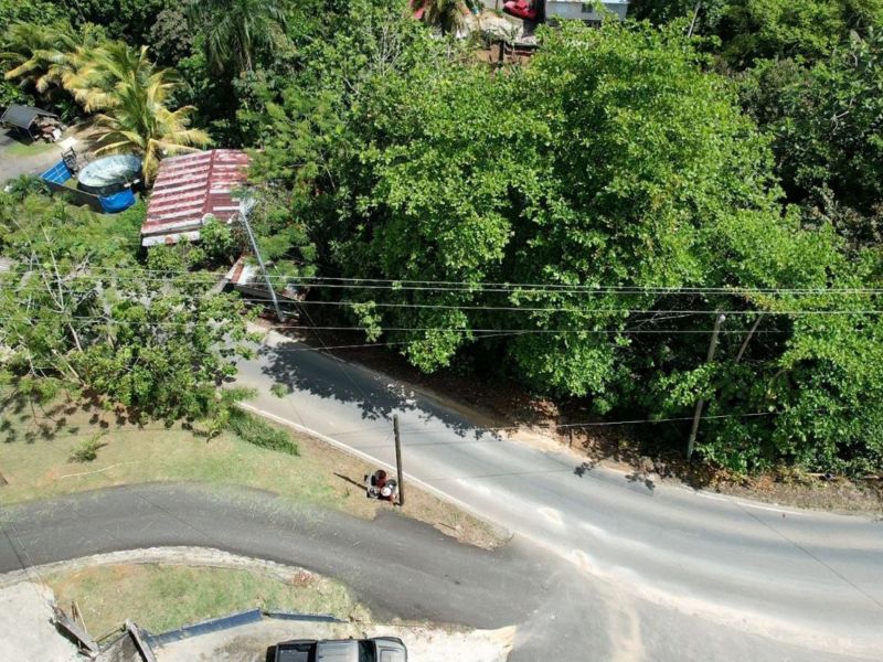 Carr 568 Km 30.3 Int Padilla Corozal 00783 PR