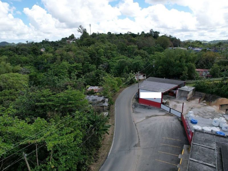 Carr 568 Km 30.3 Int Padilla Corozal 00783 PR