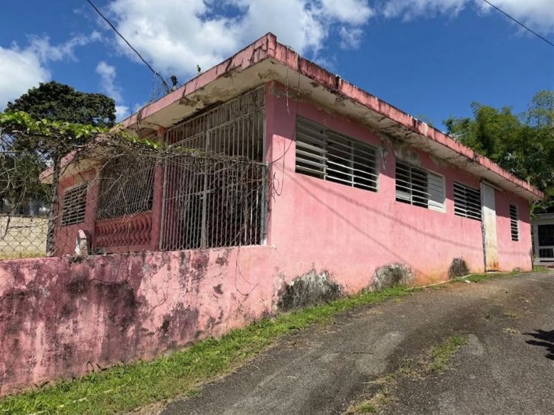 Carretera 184 Km 31.1 Barrio Cacao Alto Patillas 00723 PR
