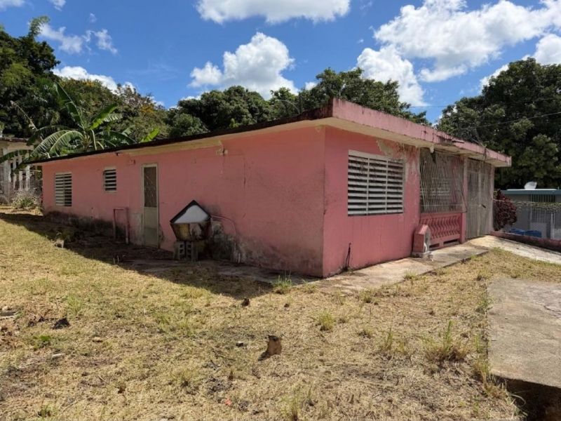 Carretera 184 Km 31.1 Barrio Cacao Alto Patillas 00723 PR
