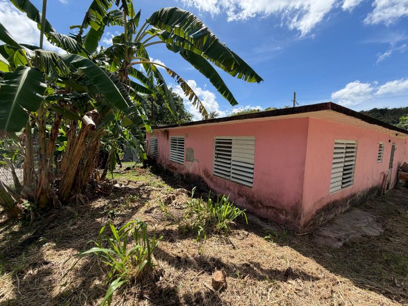 Carretera 184 Km 31.1 Barrio Cacao Alto Patillas 00723 PR