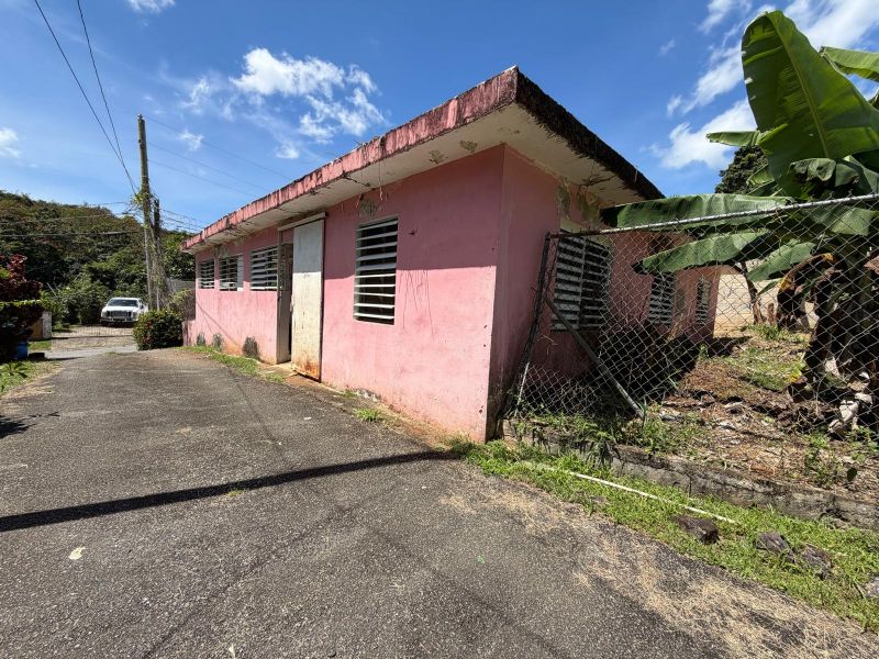 Carretera 184 Km 31.1 Barrio Cacao Alto Patillas 00723 PR