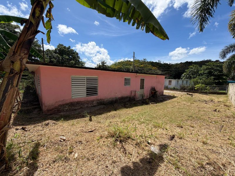 Carretera 184 Km 31.1 Barrio Cacao Alto Patillas 00723 PR