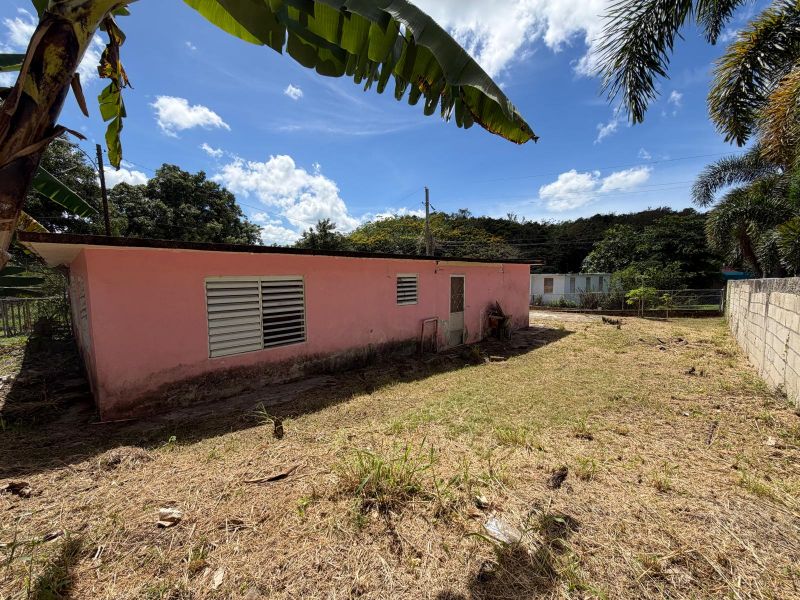 Carretera 184 Km 31.1 Barrio Cacao Alto Patillas 00723 PR