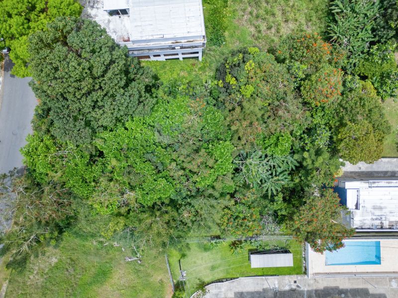 Calle 10 Lote 290 A Urb San Agustin San Juan 00926 PR