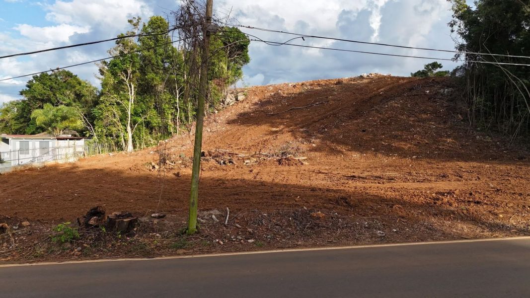 Bo Miraflores Parc 2 Arecibo 00616 PR