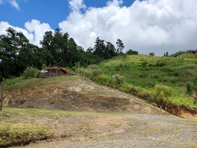 Bo Palo Hincado Carr 156 Barranquitas 00794 PR