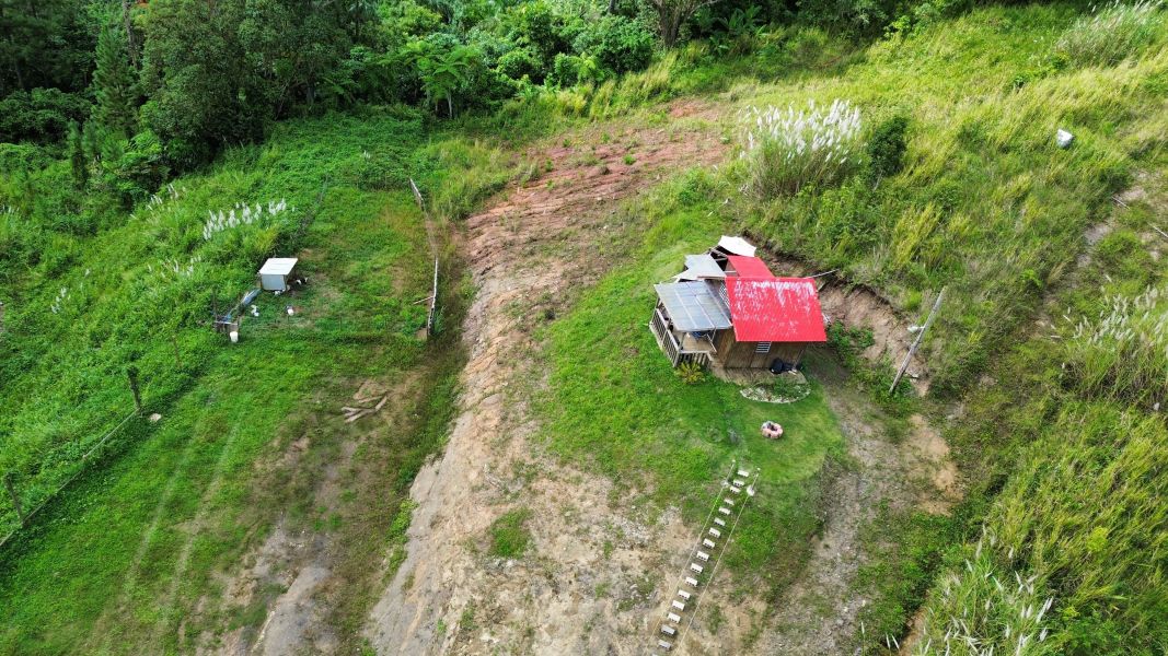 Bo Palo Hincado Carr 156 Barranquitas 00794 PR