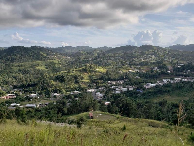 Bo Palo Hincado Carr 156 Barranquitas 00794 PR