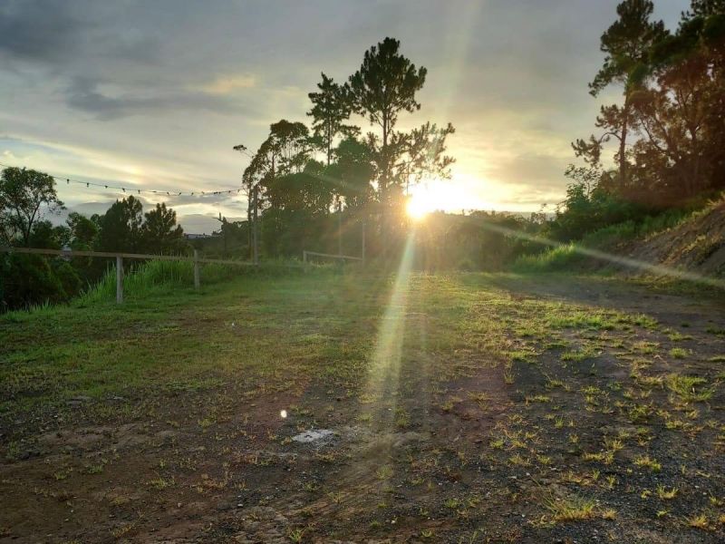 Bo Palo Hincado Carr 156 Barranquitas 00794 PR