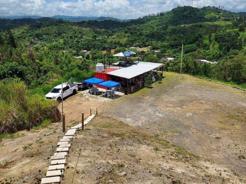Bo Palo Hincado Carr 156 Barranquitas 00794 PR