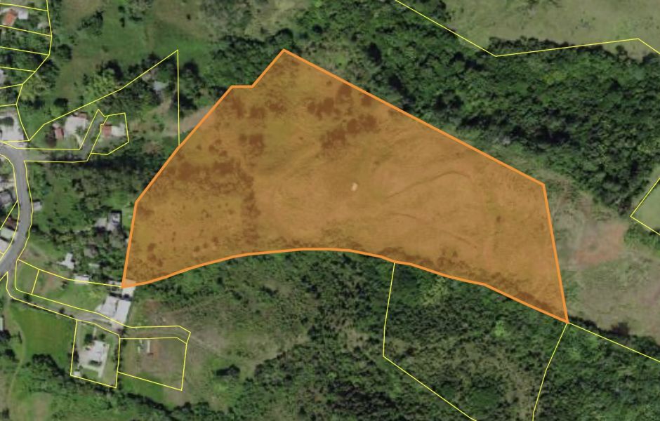 Bo Palo Hincado Carr 156 Barranquitas 00794 PR