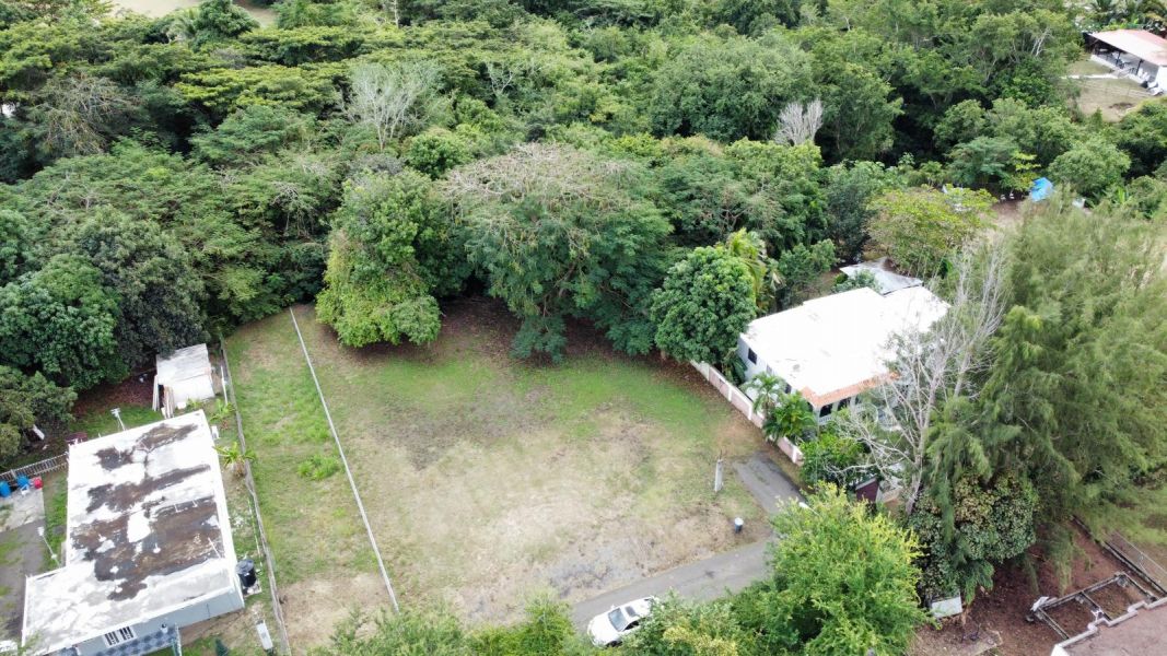 Bo San Ildefonso Solar 7 Coamo 00769 PR