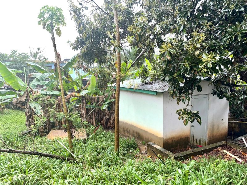 Bo Guanajibo Sector Parcelas San Romualdo Calle C Hormigueros 00660 PR