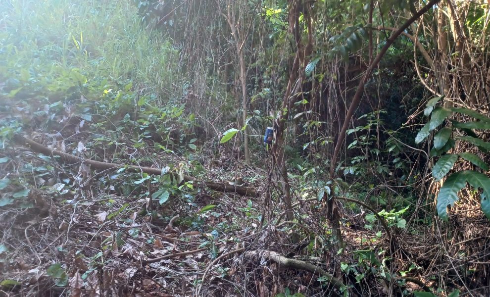 Urb Las Coles Carr 968 Km 1.5 Lot #9 Rio Grande 00721 PR