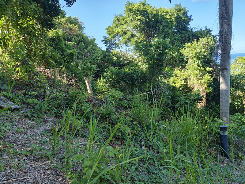 Urb Las Coles Carr 968 Km 1.5 Lot #9 Rio Grande 00721 PR